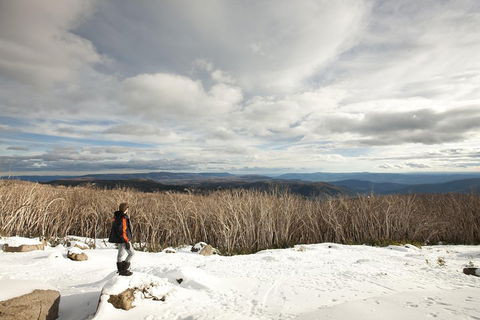 Lake Mountain Snow Trip Including Yarra Valley Chocolaterie From Melbourne - Tourism Townsville 5