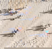 Unlimited Sandboarding - Tourism Townsville