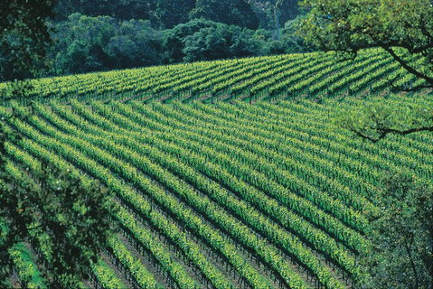 Margaret River Private Tour - Tourism Townsville 4