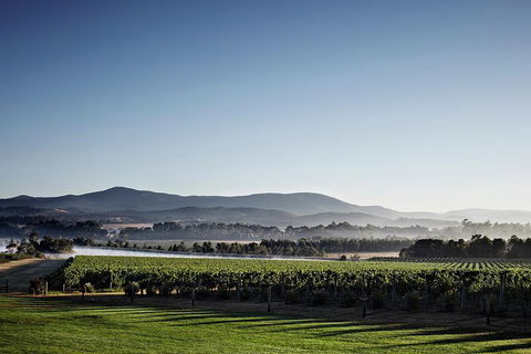 Chauffeur Driven Yarra Valley Group Wine Tour - Up To 7 - Tourism Townsville 2
