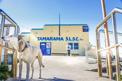 Smartphone & Camera Photography Basics - Tourism Townsville 5