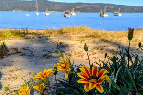 Central Coast Explorer With 'Personalised Sydney Tours' - Tourism Townsville 2