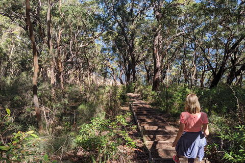 Central Coast Explorer With 'Personalised Sydney Tours' - Tourism Townsville 4