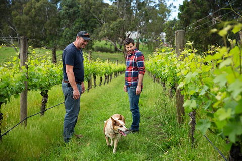 LGBT+ Friendly Full Day Yarra Valley & Dandenong Ranges Private Tour - Tourism Townsville 4