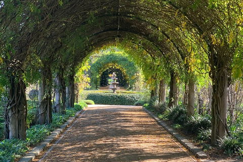 LGBT+ Friendly Full Day Yarra Valley & Dandenong Ranges Private Tour - Tourism Townsville 5