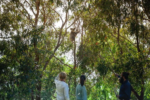 LGBT+ Friendly 3 Day Tour The Grampians, Daylesford & Ballarat - Tourism Townsville 4