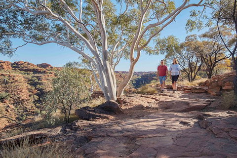 3-Day Tour From Uluru (Ayers Rock) To Alice Springs Via Kings Canyon - Tourism Townsville 1