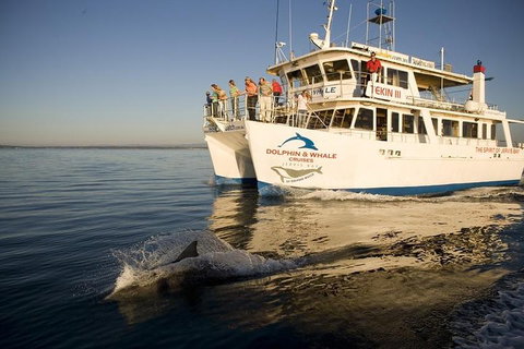 Jervis Bay Dolphin Watch Cruise - Tourism Townsville 3