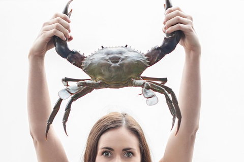 The Ultimate Gold Coast Attractions Pass - Tourism Townsville 0