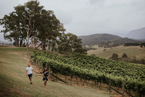 Luxury Blue Mountains Tour With Aussie BBQ Lunch And Wine Tasting - Tourism Townsville 3