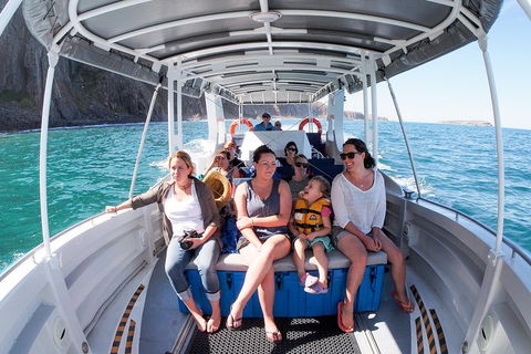 Seal Island Boat Tour From Victor Harbor - Tourism Townsville 1