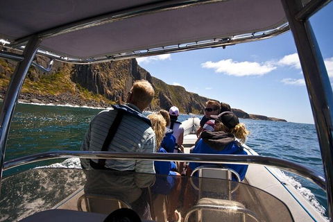 Seal Island Boat Tour From Victor Harbor - Tourism Townsville 2