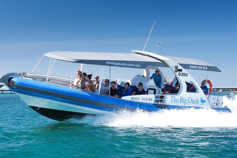 Seal Island Boat Tour From Victor Harbor - Tourism Townsville 3
