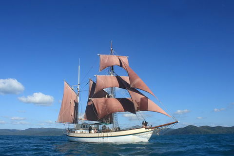 Sydney Harbour Tall Ship Whale & Sail - Whale Watching Cruise - Tourism Townsville 1