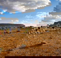Mount Conner 4WD Small Group Tour from Ayers Rock including Dinner - Tourism Townsville