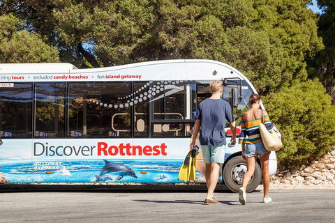 Discover Rottnest With Ferry & Bus Tour From Perth Or Fremantle - Tourism Townsville 1