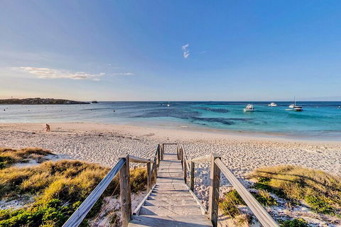 Discover Rottnest With Ferry & Bus Tour From Perth Or Fremantle - Tourism Townsville 4