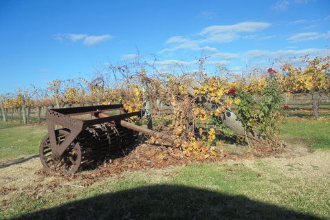 Swan Valley Tour From Perth: Wine, Beer And Chocolate Tastings - Tourism Townsville 3