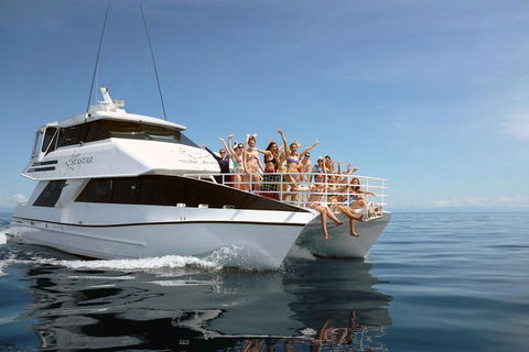 Seastar Luxury Outer Great Barrier Reef Island And Reef Tour From Cairns - Tourism Townsville 4