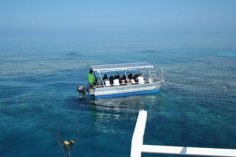 Seastar Luxury Outer Great Barrier Reef Island And Reef Tour From Cairns - Tourism Townsville 5