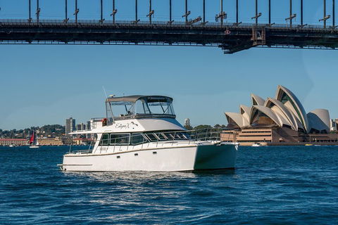 Vivid 90-Minute Sydney Harbour Small Group Catamaran Cruise - Tourism Townsville 2