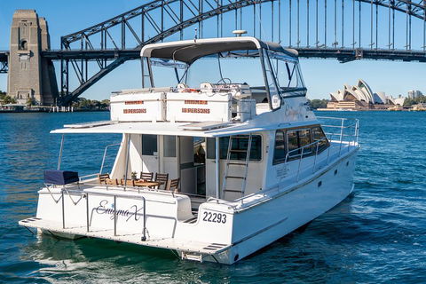 Vivid 90-Minute Sydney Harbour Small Group Catamaran Cruise - Tourism Townsville 4