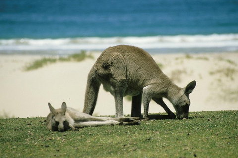 Great Ocean Road Highlights Tour - 2 Days, 1 Night - Tourism Townsville 2