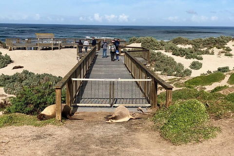 Kangaroo Island 4WD Tour - Best Of KI - Tourism Townsville 2